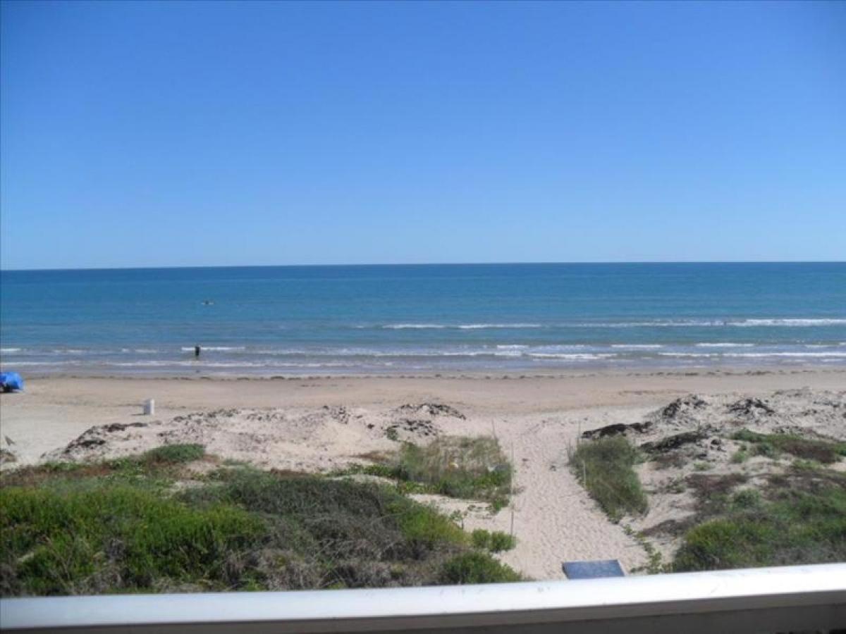 La Internacional Condos O301 South Padre Island Exteriör bild