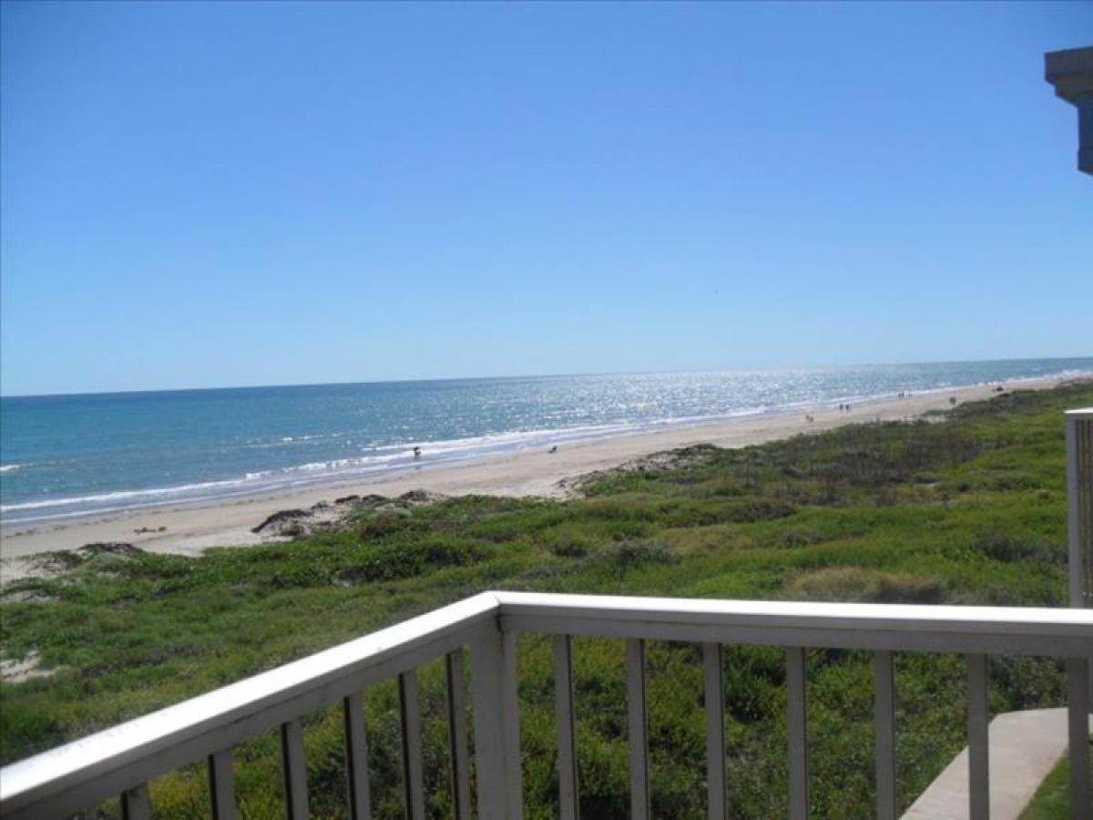 La Internacional Condos O301 South Padre Island Exteriör bild